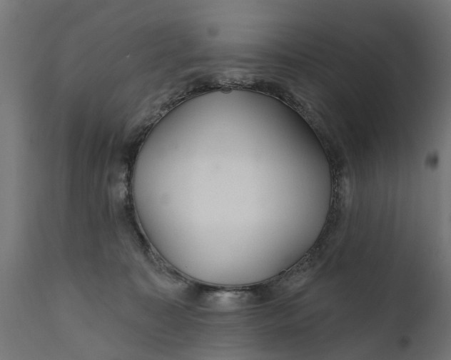X0000111510323200907281321