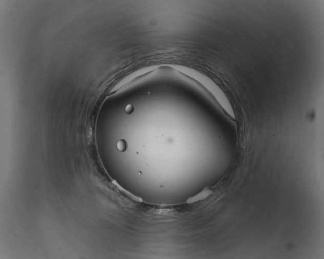 X0000111510324200907281321