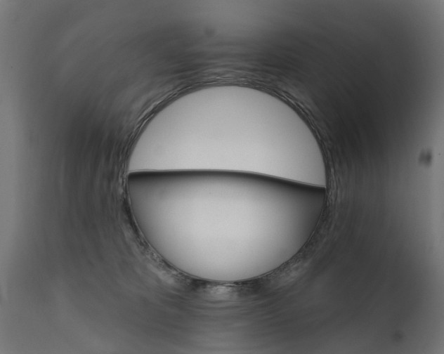X0000111510325200907281321