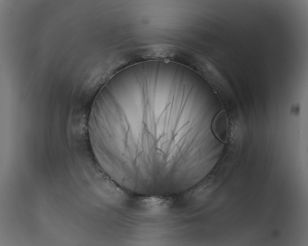 X0000111510326200907281321