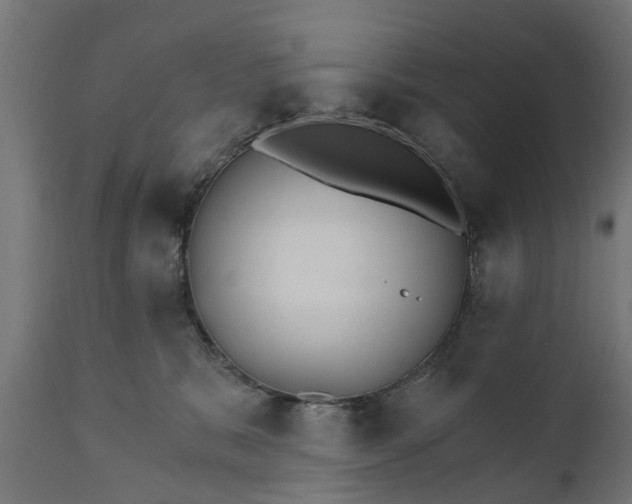 X0000111510327200907281321