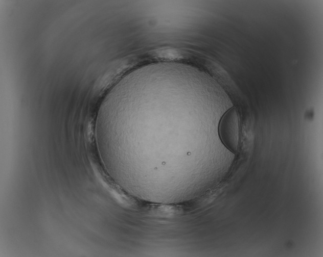 X0000111510330200907281320