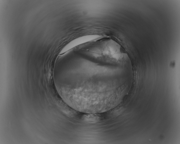 X0000111510331200907281320