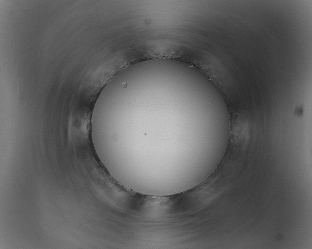 X0000111510334200907281320