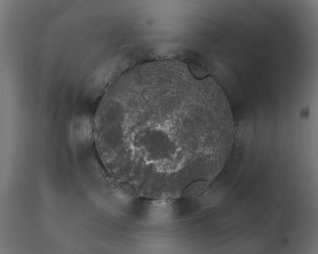 X0000111510335200907281320
