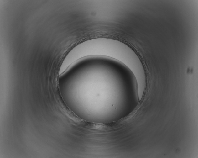 X0000111510336200907281320