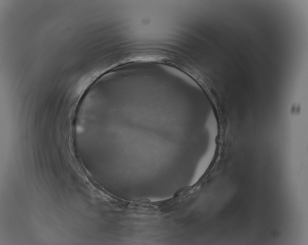 X0000111510337200907281320