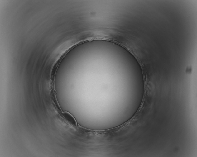 X0000111510338200907281320
