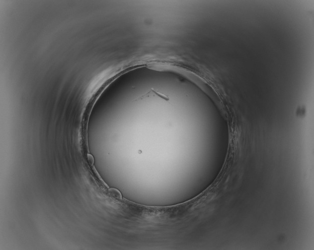 X0000111510340200907281320