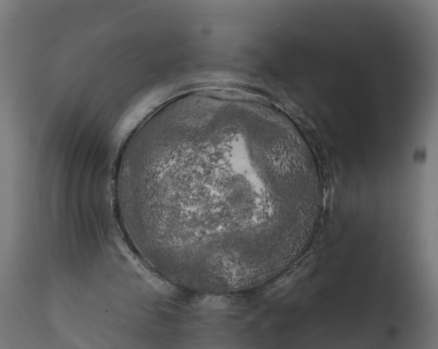 X0000111510341200907281320