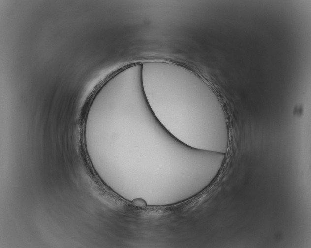 X0000111510342200907281320