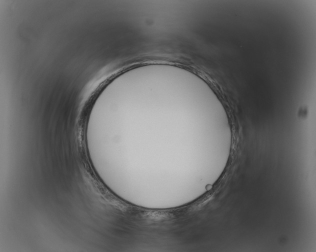 X0000111510343200907281320