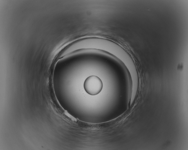 X0000111510344200907281320