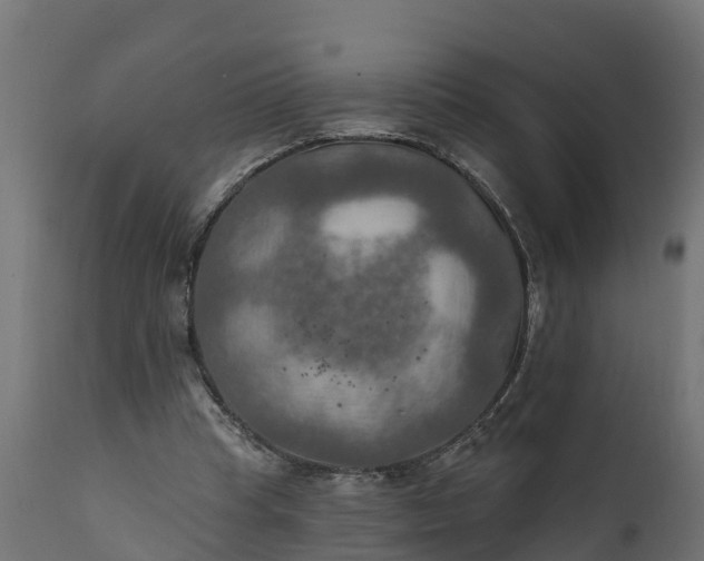 X0000111510345200907281320