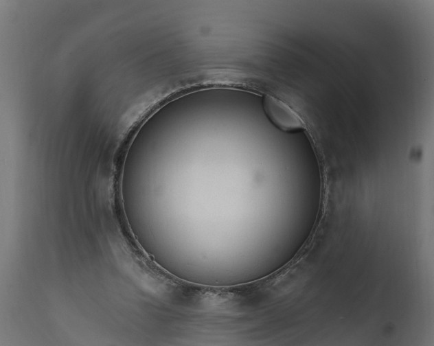 X0000111510346200907281320