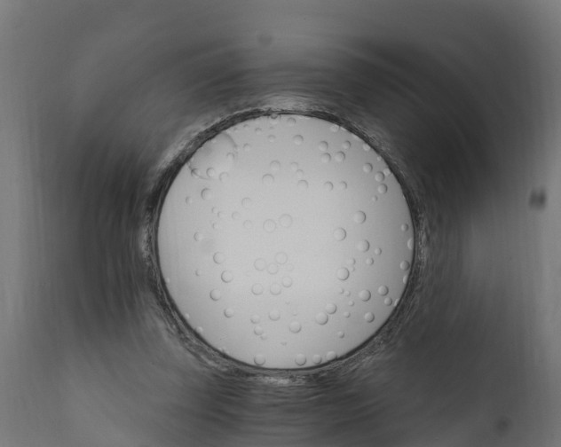 X0000111510347200907281320