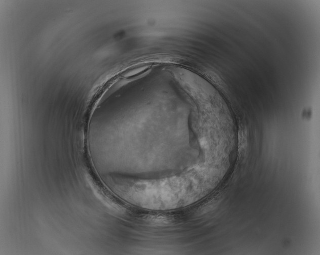 X0000111510349200907281320
