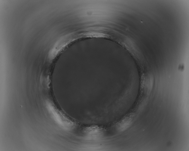 X0000111510351200907281320