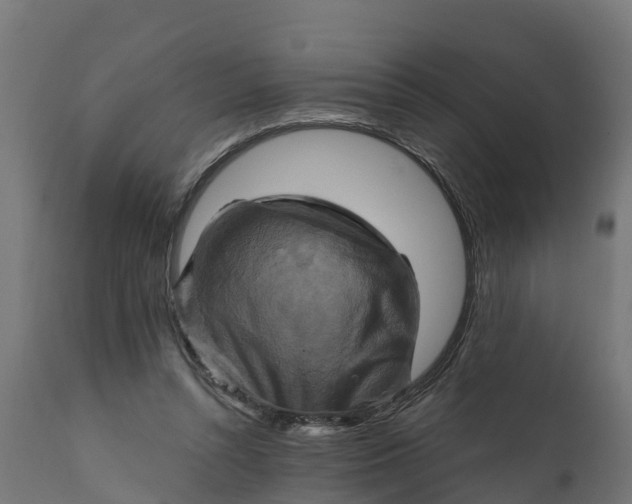 X0000111510352200907281320