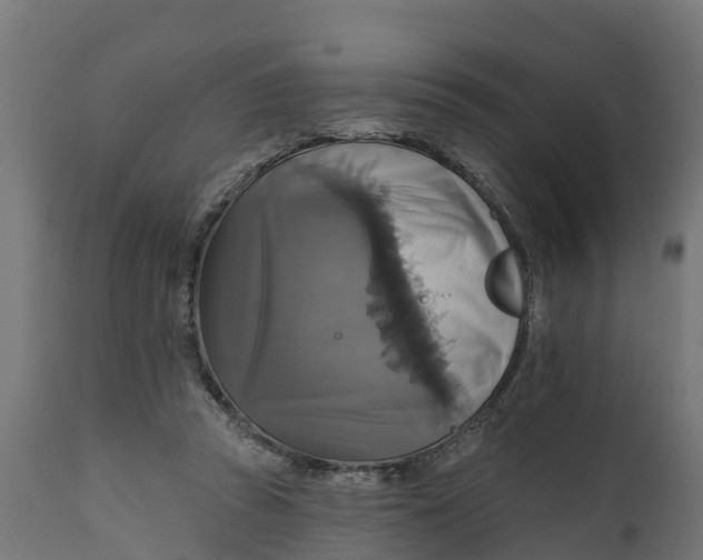 X0000111510353200907281320