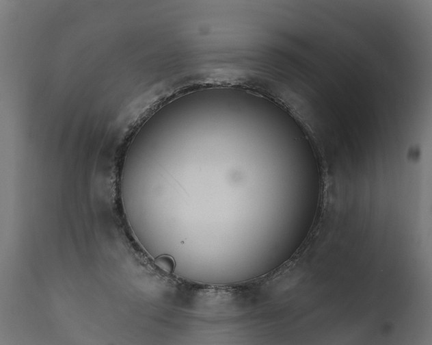 X0000111510354200907281320