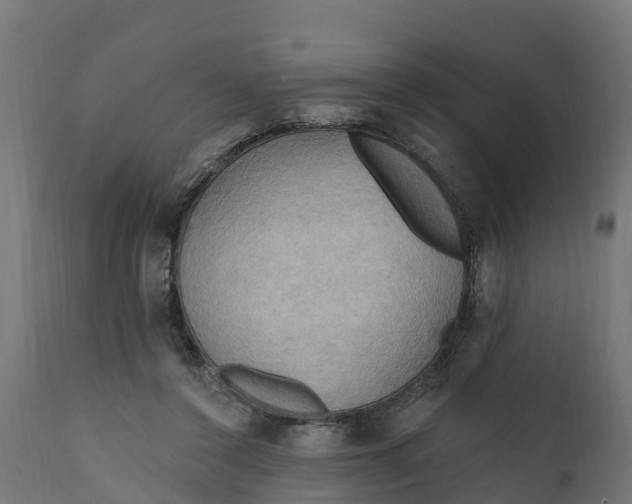 X0000111510356200907281320