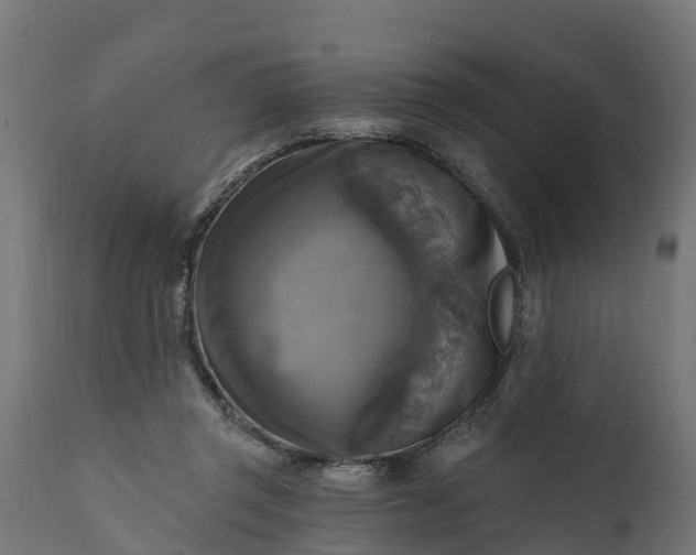 X0000111510357200907281320