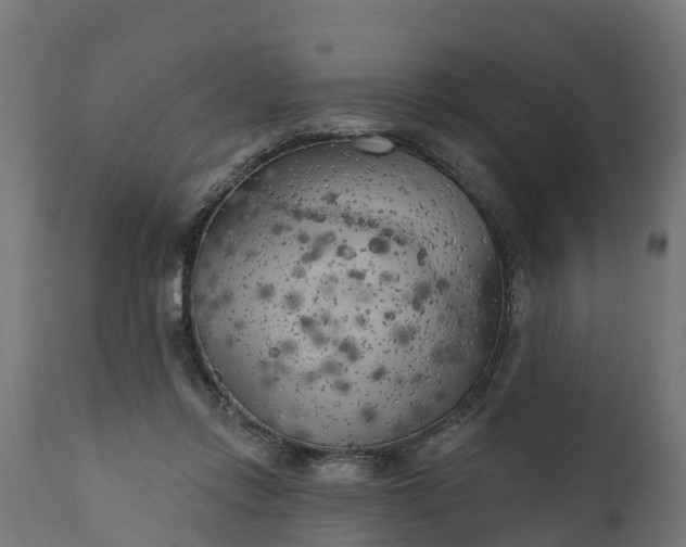X0000111510358200907281320