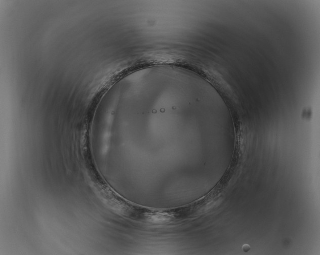 X0000111510359200907281320