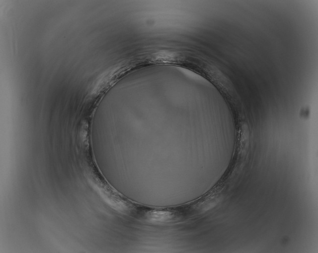 X0000111510361200907281320