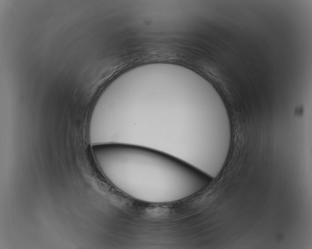 X0000111510362200907281320