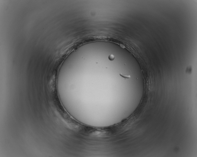 X0000111510364200907281320