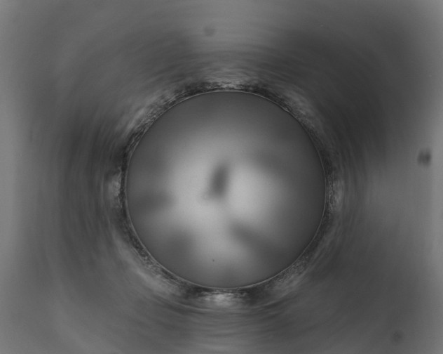 X0000111510365200907281320