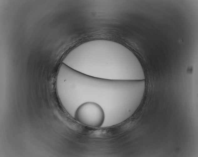 X0000111510366200907281320