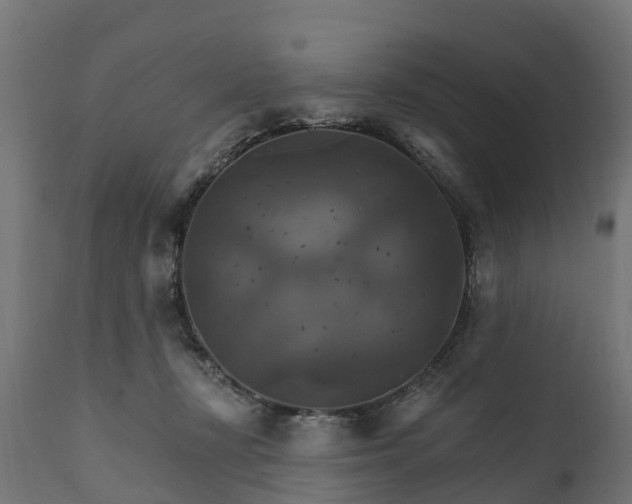 X0000111510367200907281320