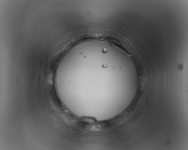 X0000111510368200907281320