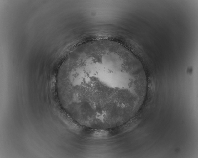 X0000111510369200907281320
