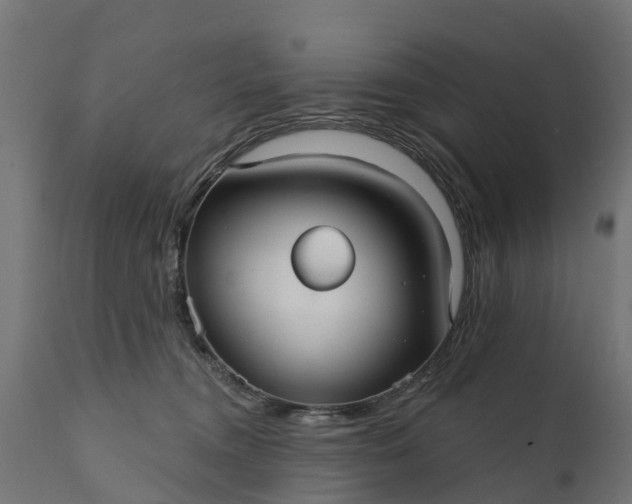 X0000111510372200907281320