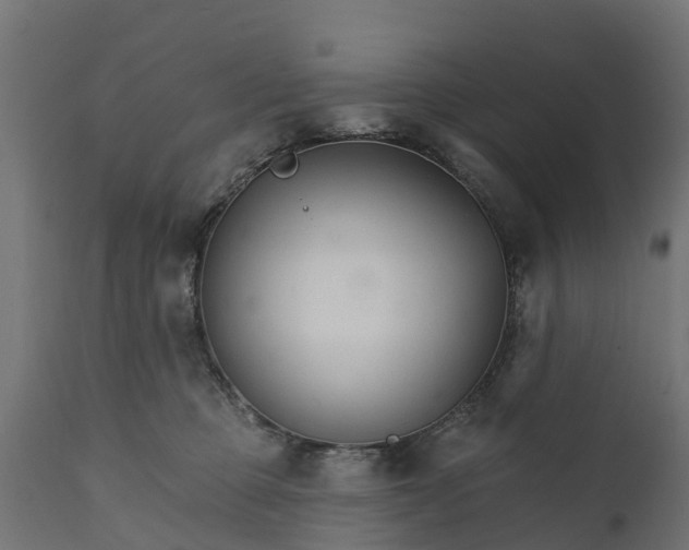 X0000111510373200907281320