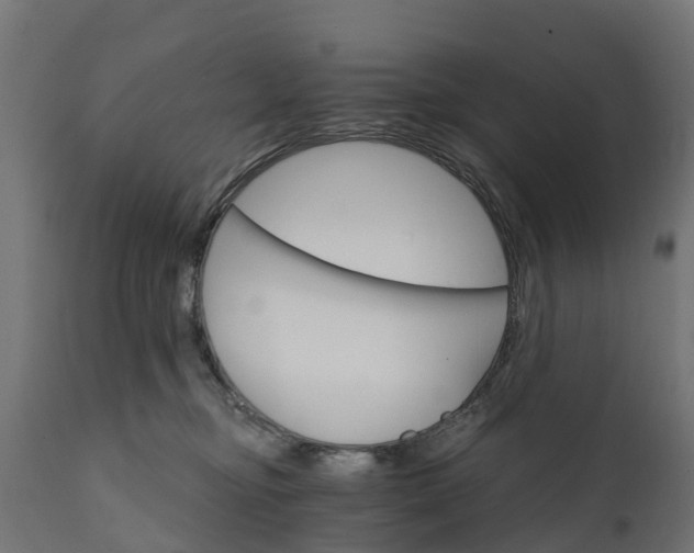 X0000111510374200907281320