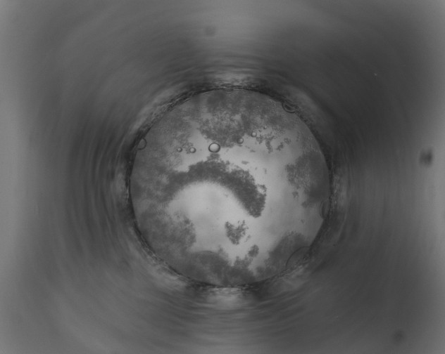 X0000111510377200907281320