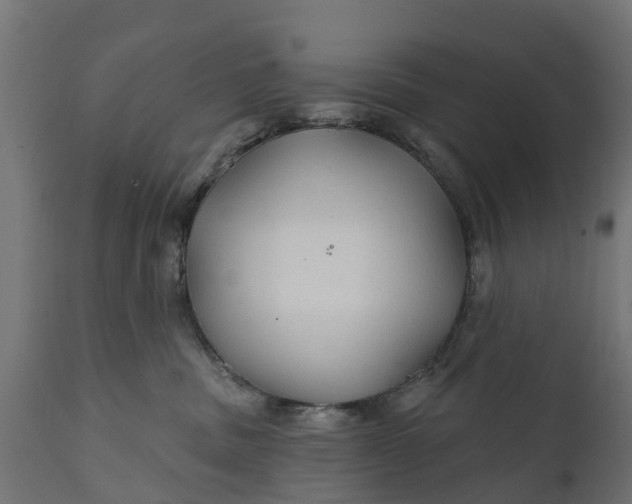 X0000111510379200907281320