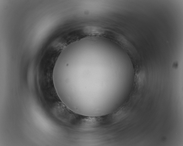 X0000111510381200907281320
