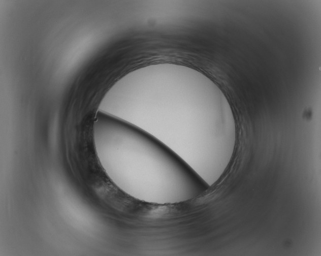 X0000111510382200907281320