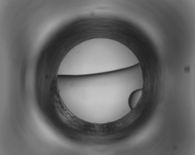 X0000111510383200907281320