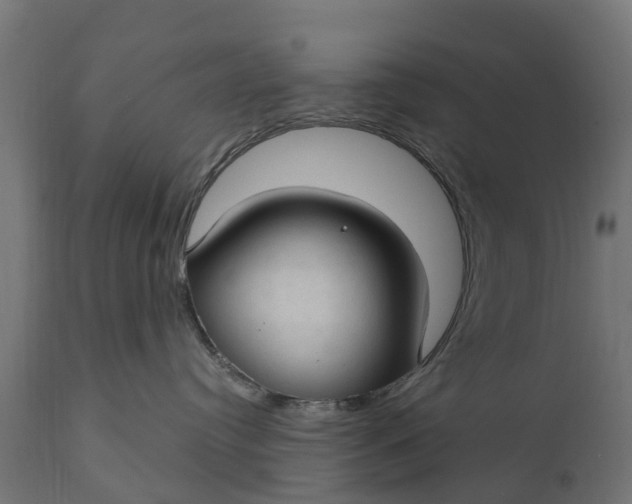 X0000111510384200907281320