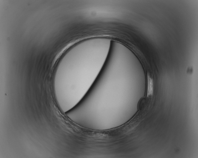 X0000111510387200907281320