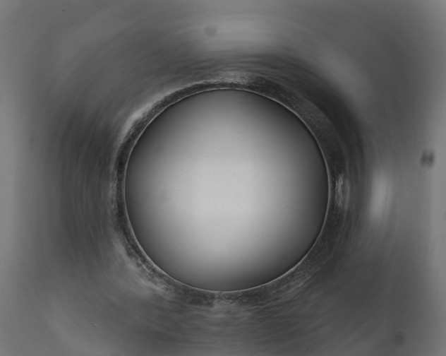 X0000111510388200907281320