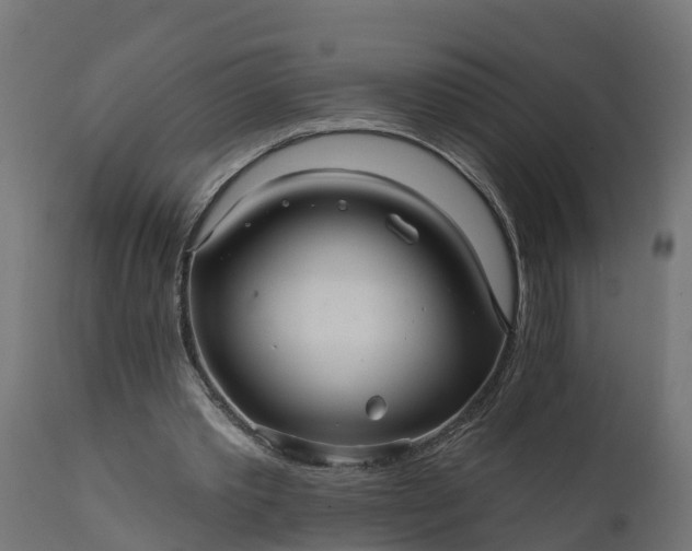X0000111510389200907281319