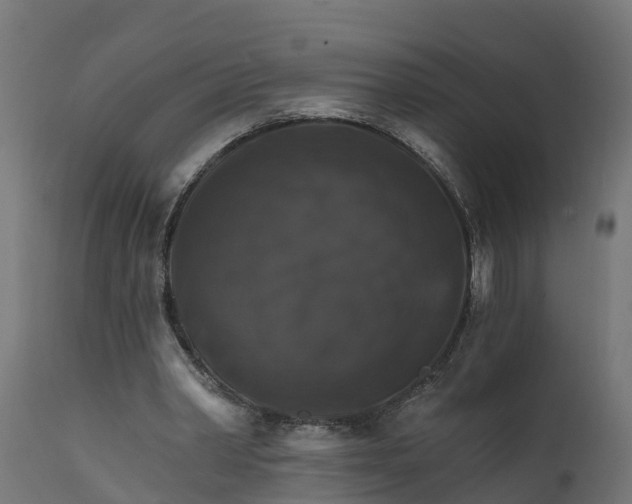 X0000111510390200907281319
